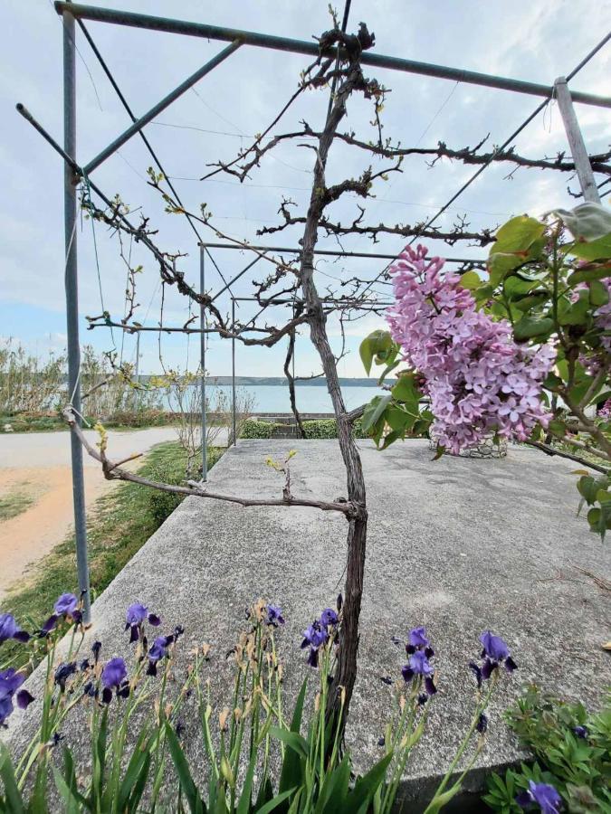 Apartmani Seaview Любач Экстерьер фото